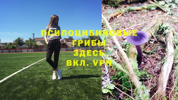 MDMA Premium VHQ Саяногорск
