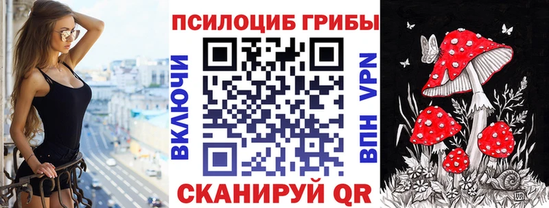 купить наркотики цена  Холм  Псилоцибиновые грибы Psilocybine cubensis 